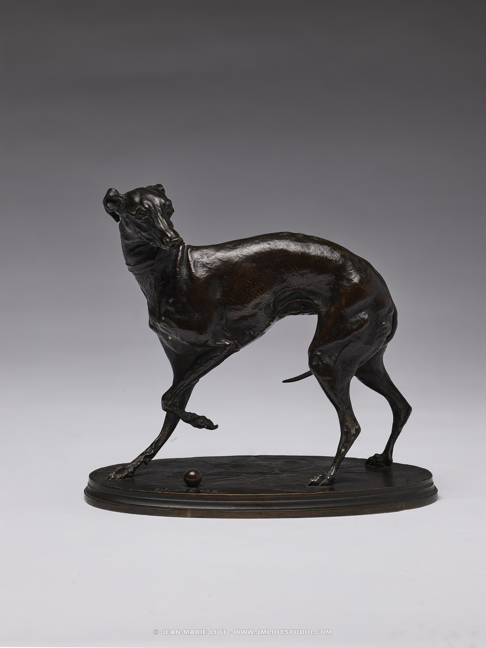 bronze_chien